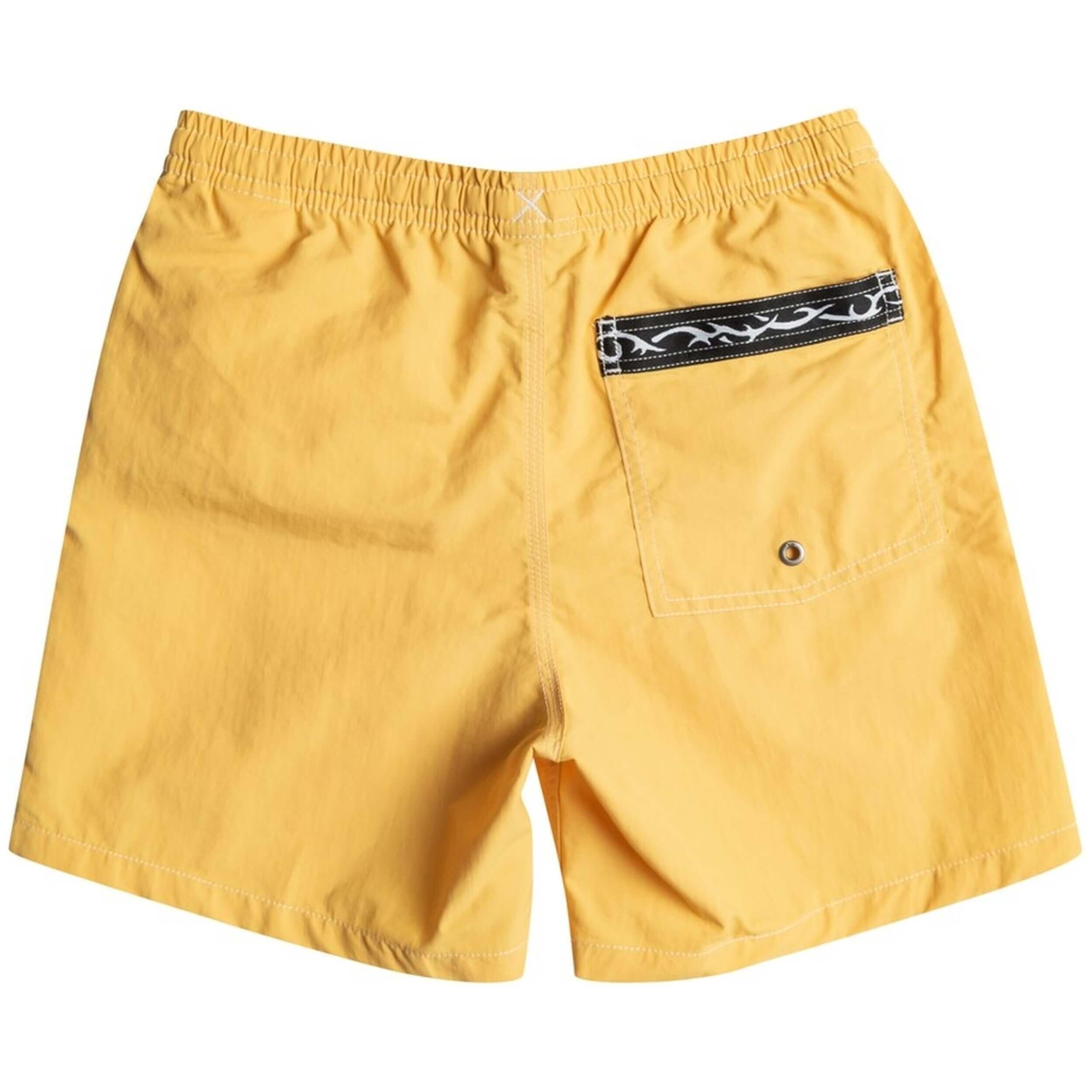 Costume da bagno Quiksilver modello EQBJV03449-YJC0 per ragazzi 2/2