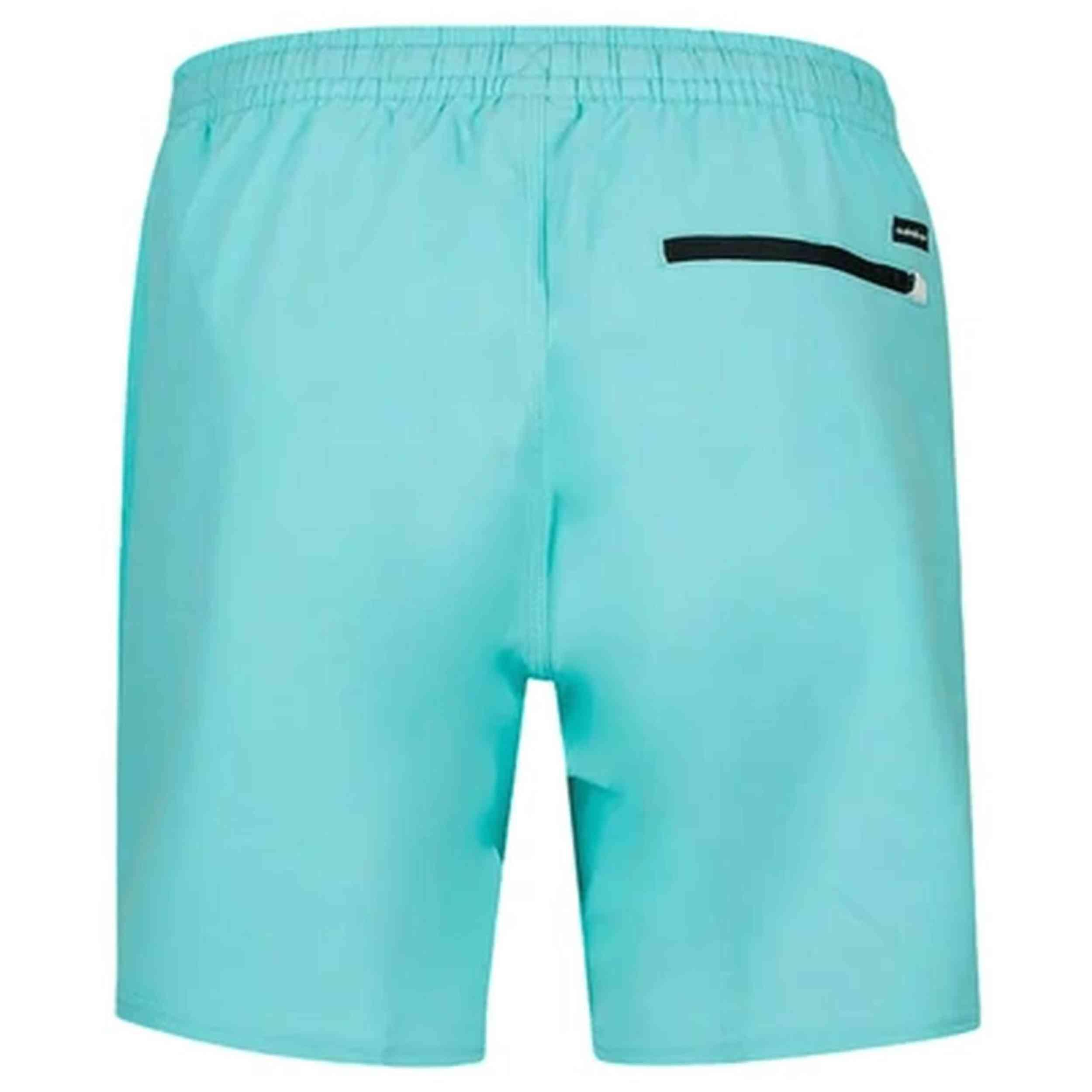 Traje de banho Quiksilver modelo EQYJV04111-BGH0 para homem 2/2