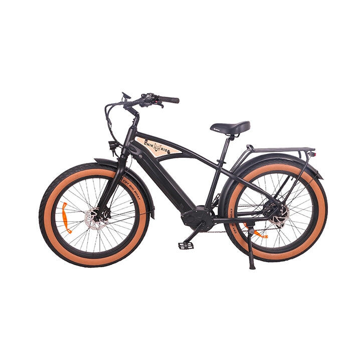 BEACH CRUISER – Elektrische fiets met gesloten frame, 250 W – Zwart 2/3