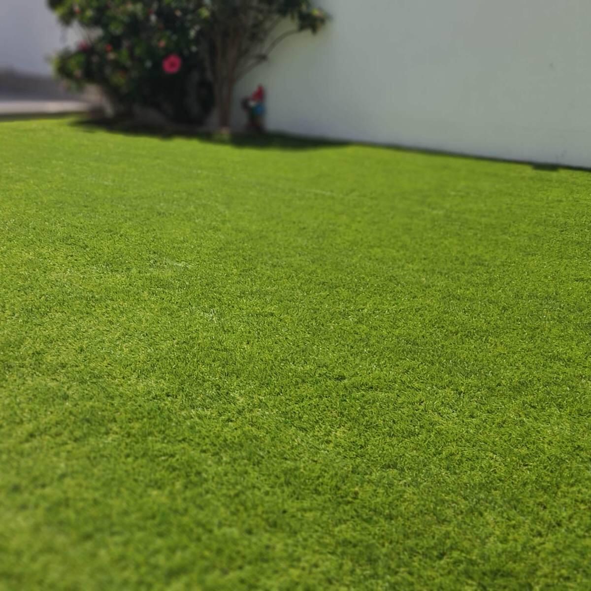 Césped artificial gimnasio exterior Niza Pro 30 mm 2×10 m | Bonerva 4/5
