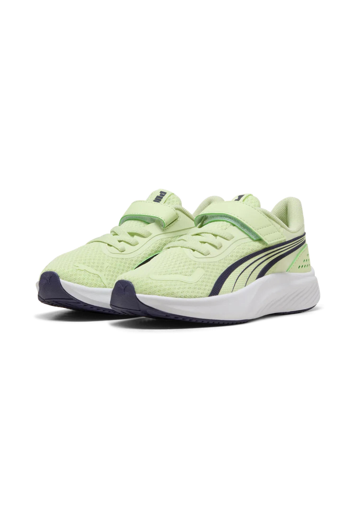 PUMA picture