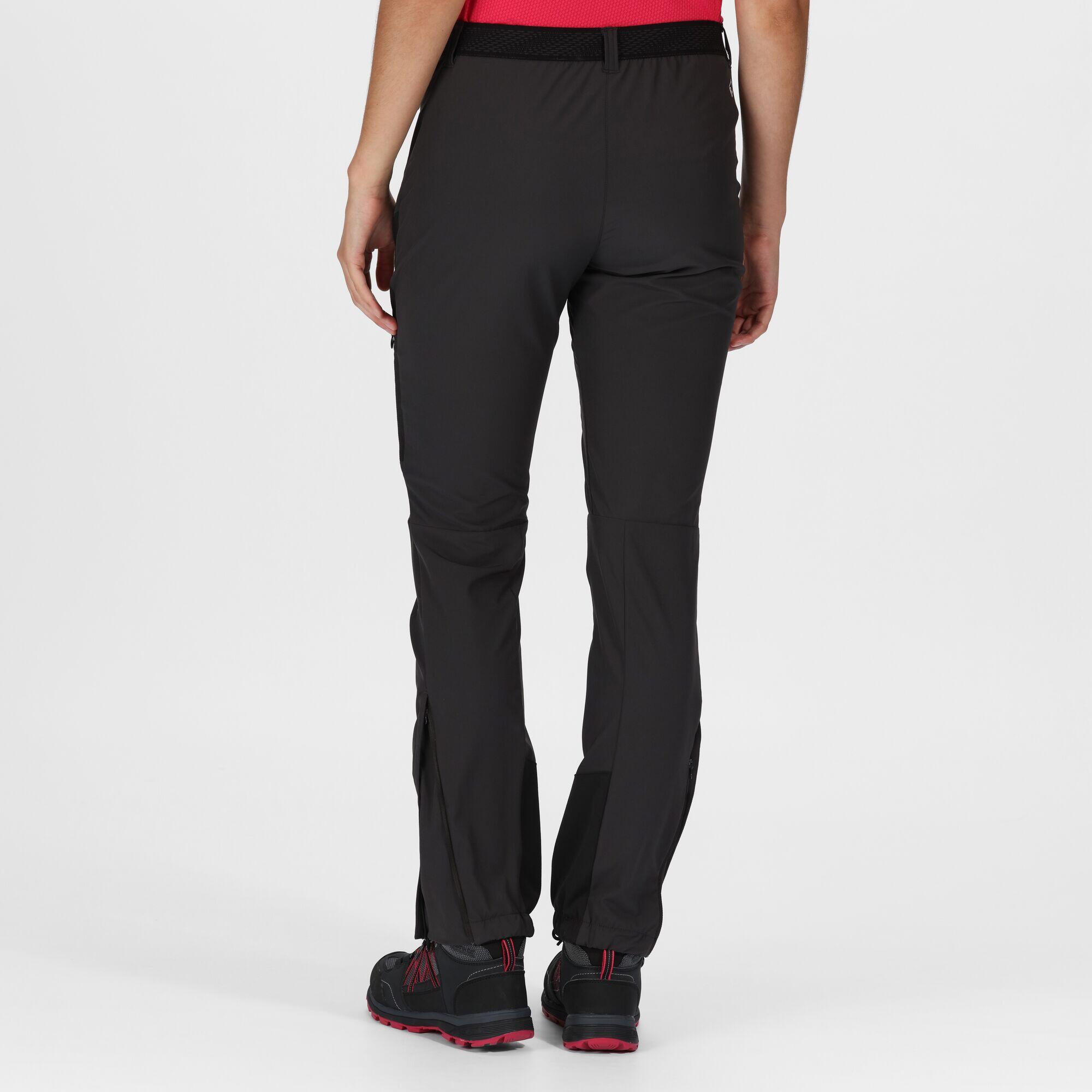 Womens/Ladies Mountain III Walking Trousers (Ash/Black) 4/5