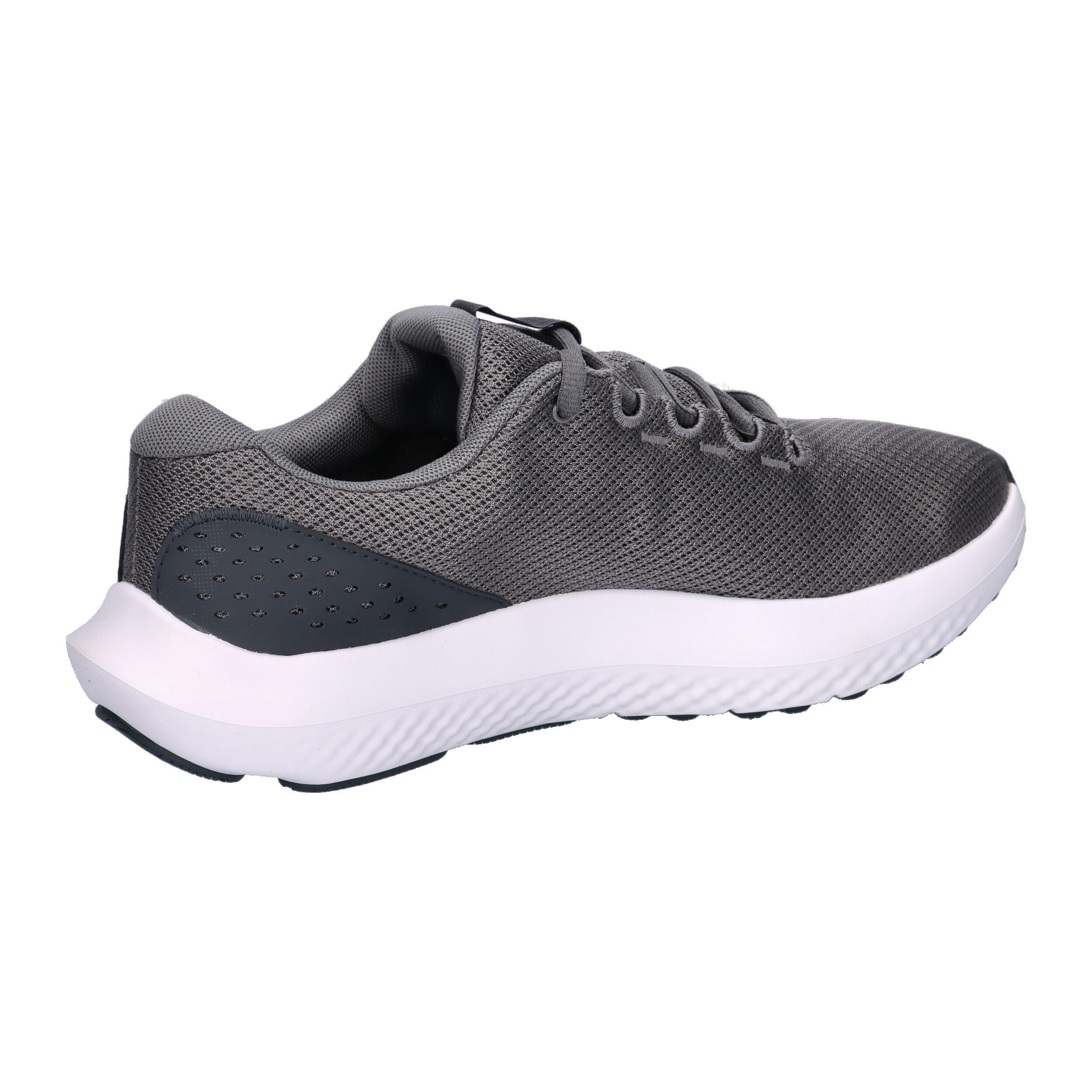Chaussures de course Under Armour Charged Surge 4 Gris 15/15