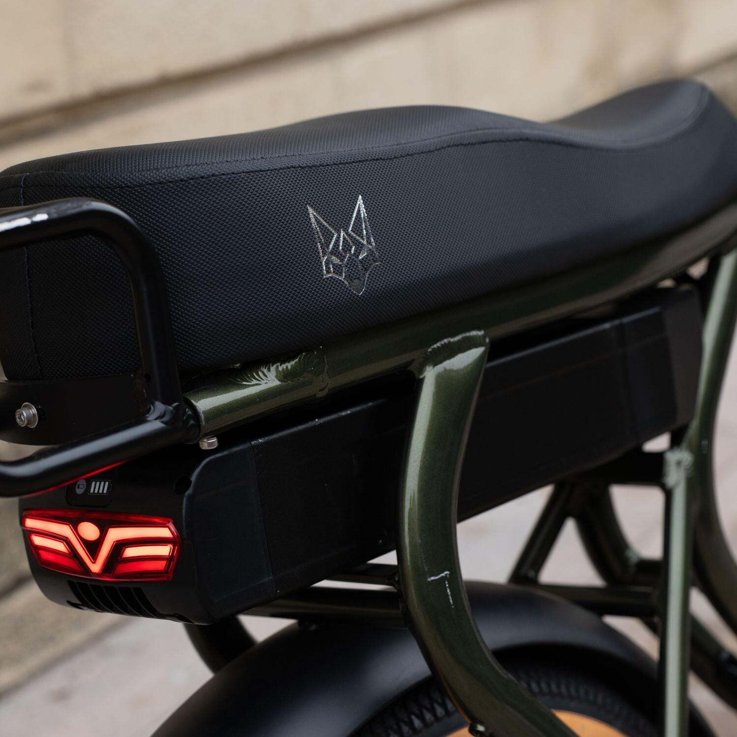 FATSTREET C – Bici elettrica cargo biposto con telaio chiuso – Verde 3/6