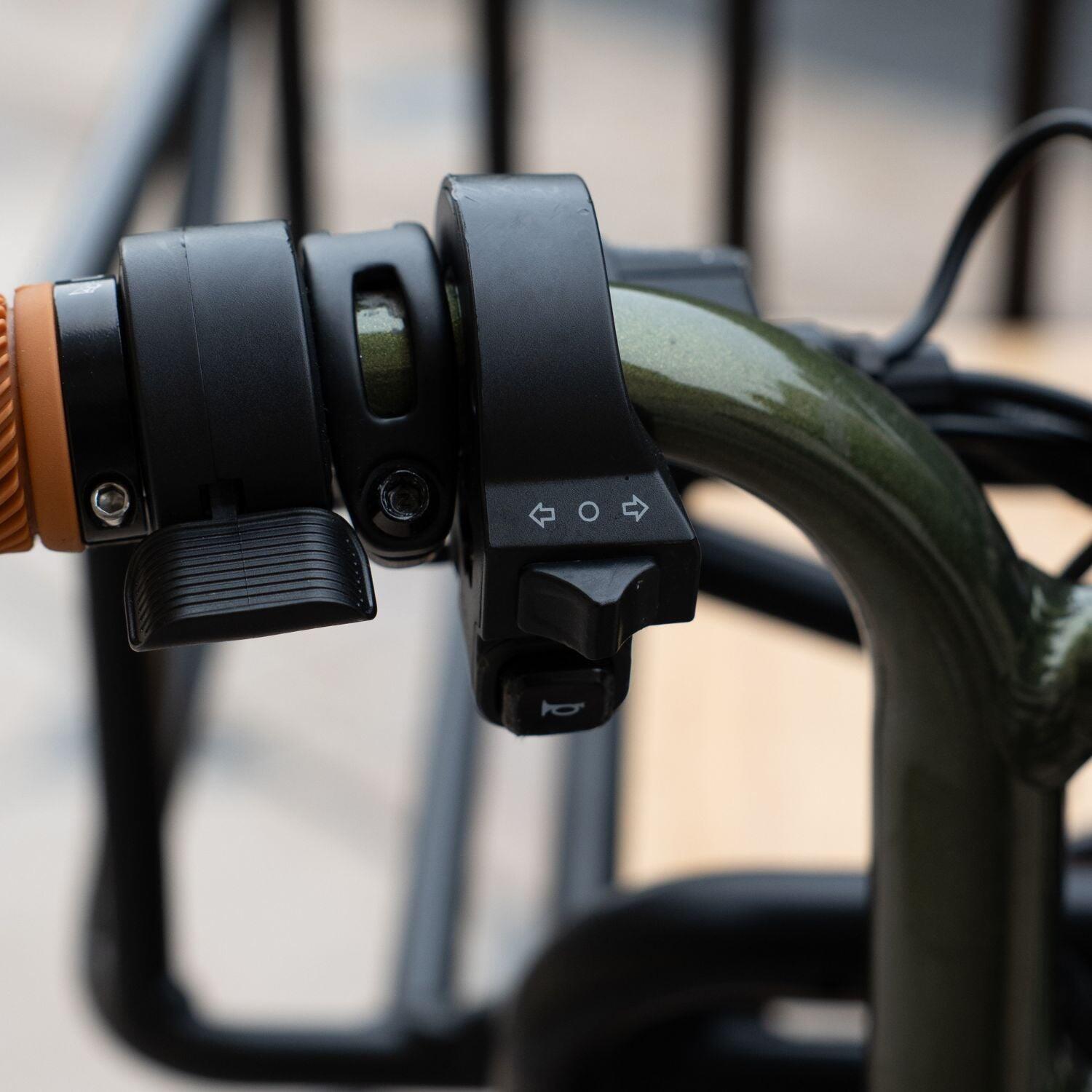 FATSTREET C – Elektrische tweepersoons cargofiets met lage instap – Groen 2/5