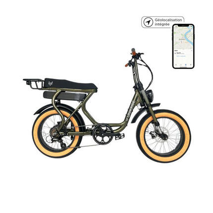 FATSTREET C – Elektrische tweepersoons cargofiets met lage instap – Groen