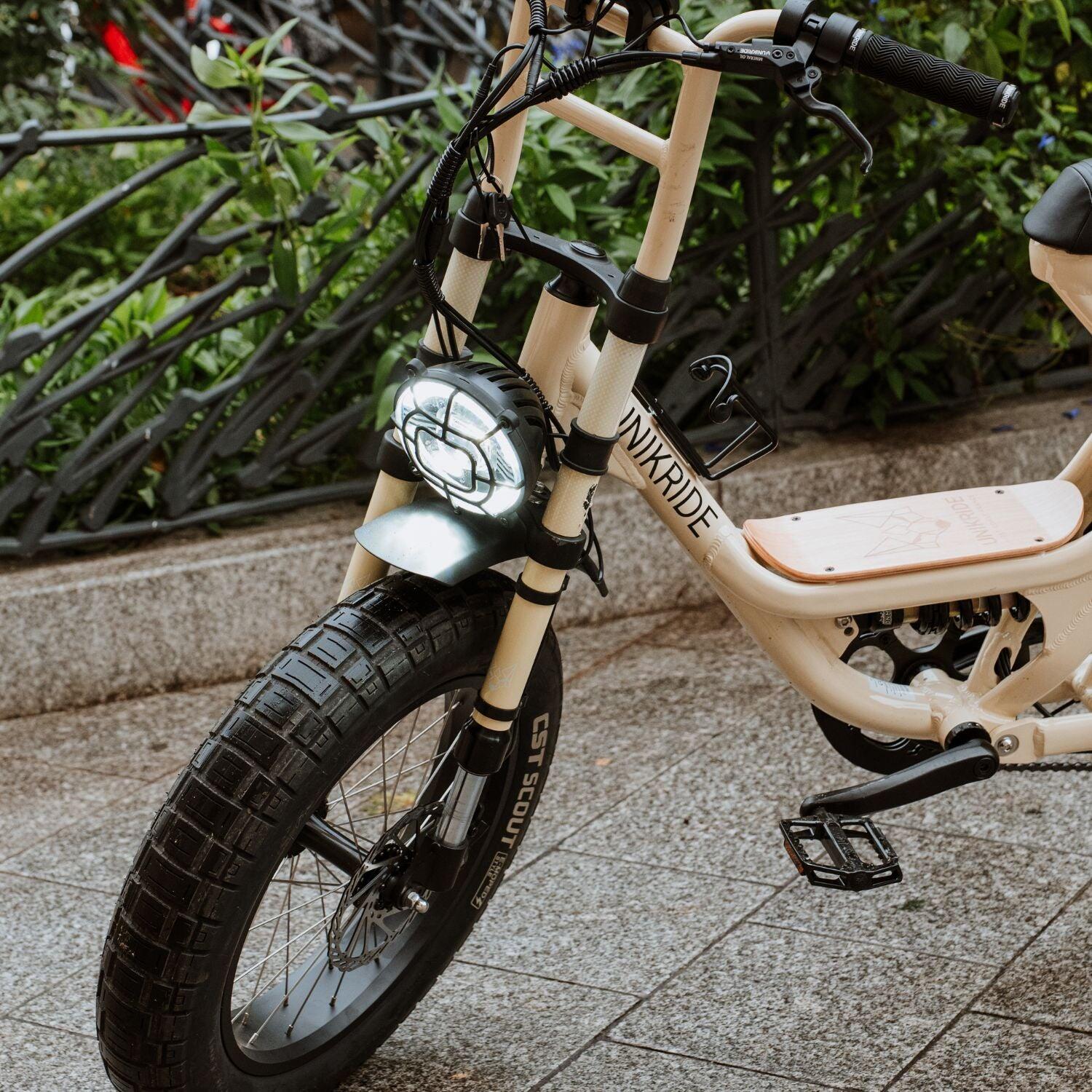 Elektrische tweepersoons fatbike-cargofiets Fatstreet Xtrail 3/7