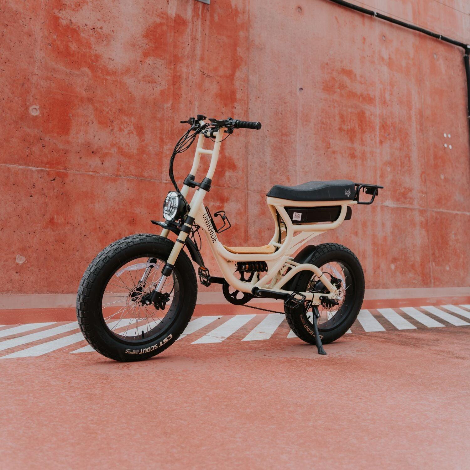 Elektrische tweepersoons fatbike-cargofiets Fatstreet Xtrail 5/7