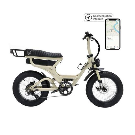 Elektrische tweepersoons fatbike-cargofiets Fatstreet Xtrail