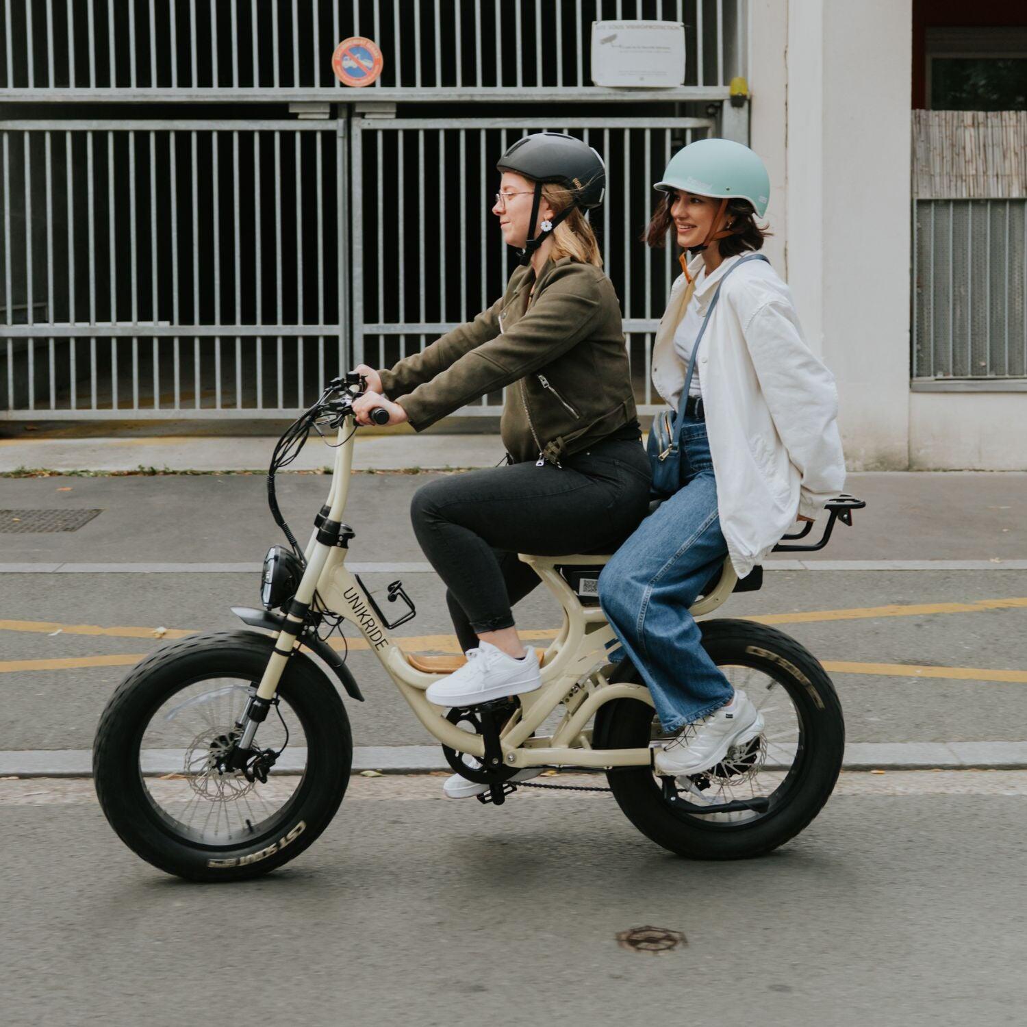 Elektrische tweepersoons fatbike-cargofiets Fatstreet Xtrail 6/7