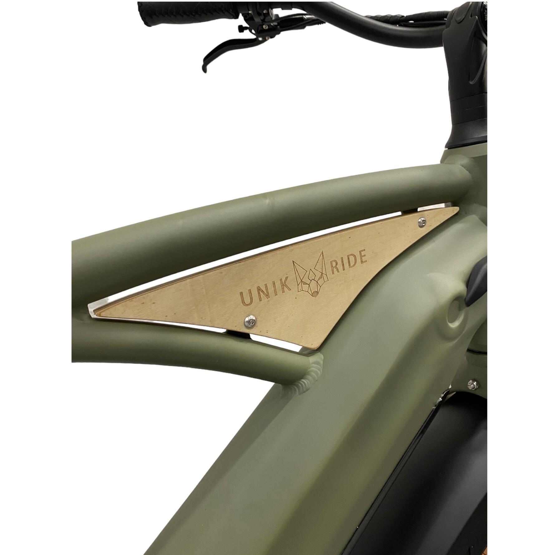 BEACH CRUISER – Elektrische fiets met gesloten frame, 250 W – Groen 5/6