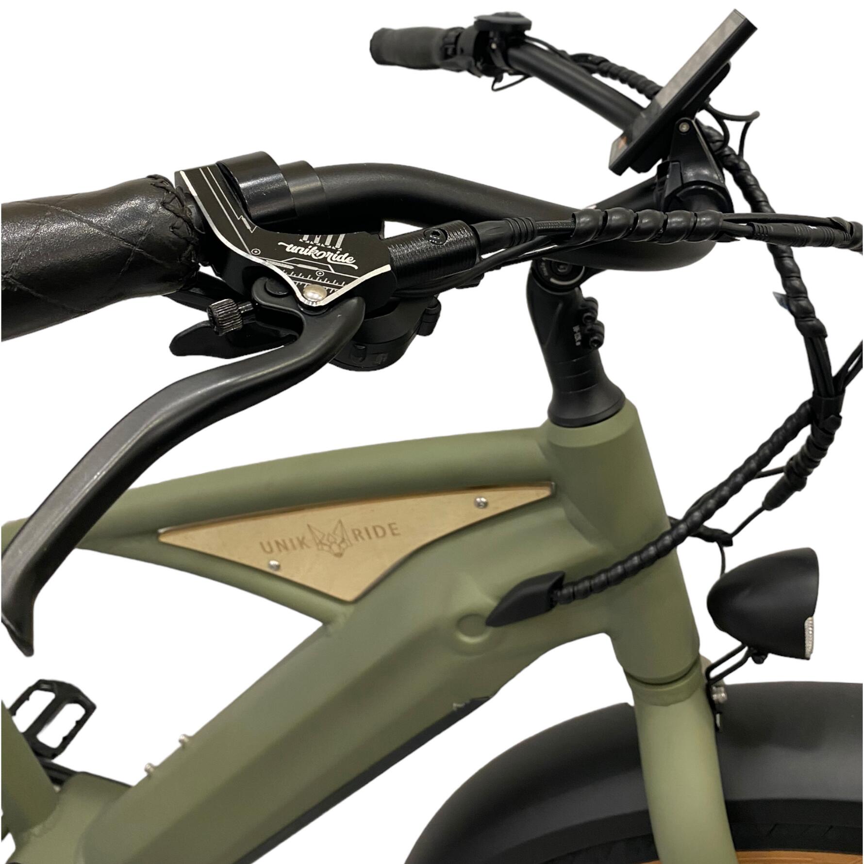 BEACH CRUISER – Elektrische fiets met gesloten frame, 250 W – Groen 6/6