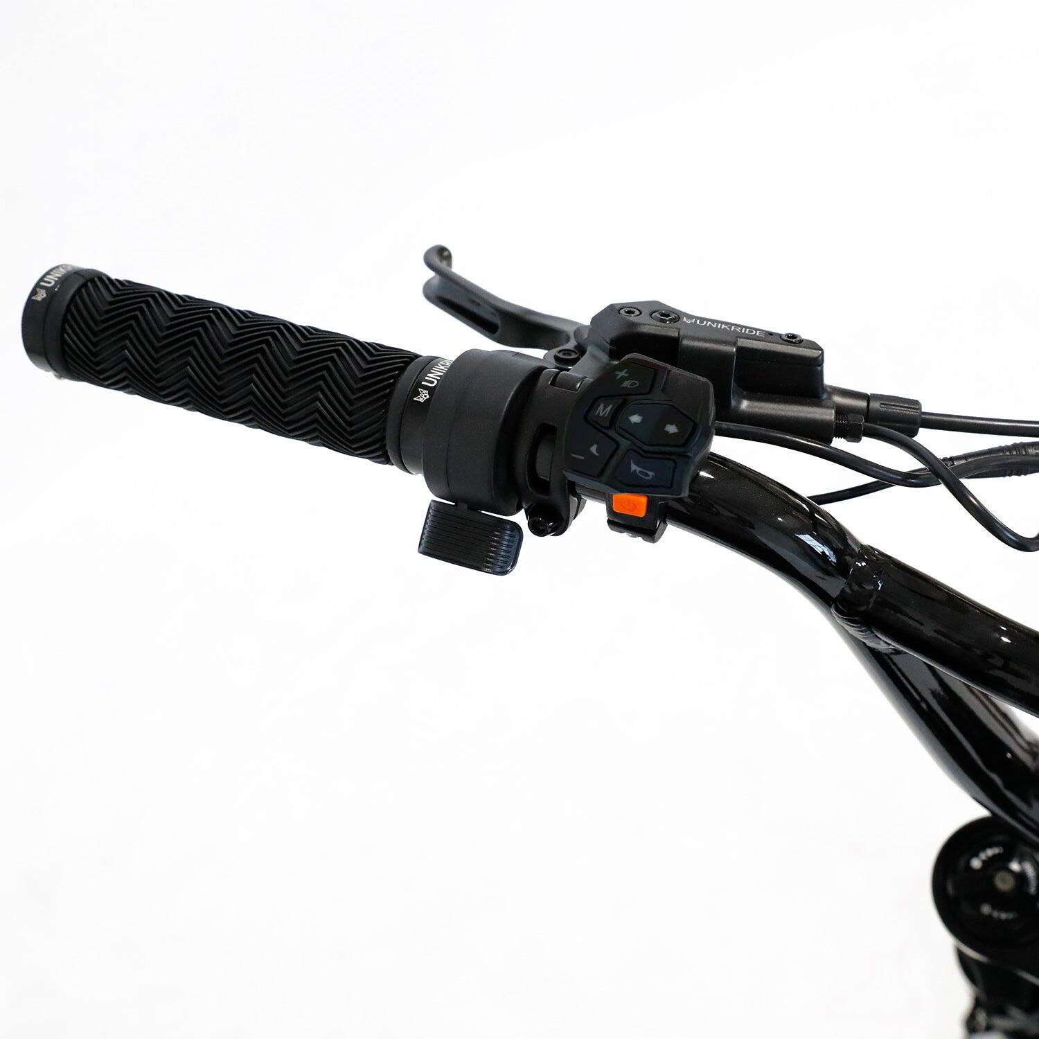 Fatstreet XTrail Sport - elektrische fatbike voor twee personen 3/7