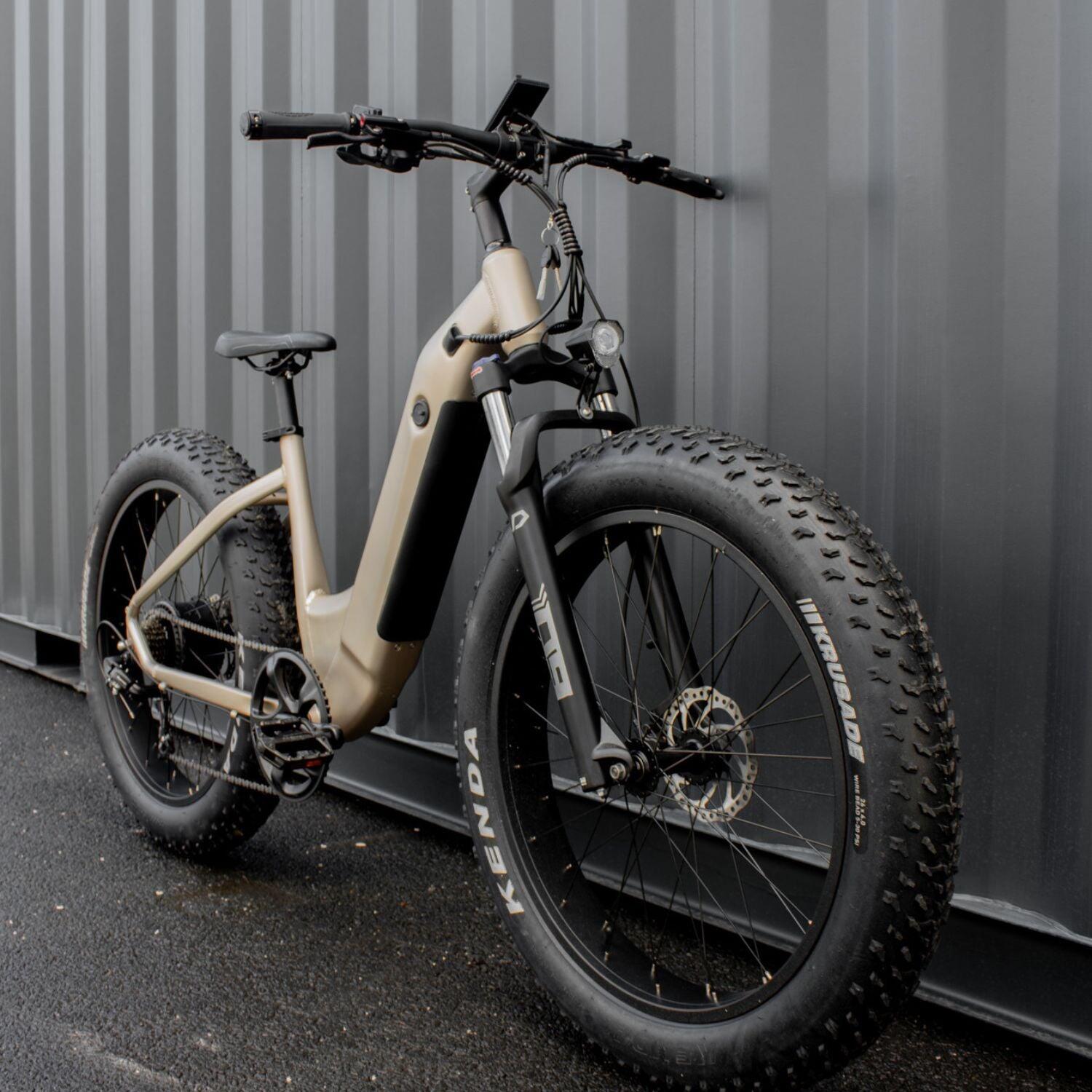 MTB met lage instap All Road Bike 250 W – Goud 3/6