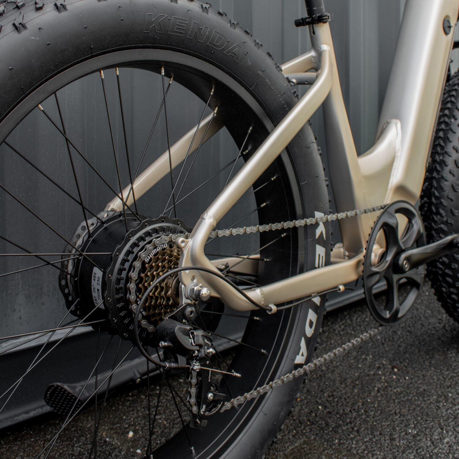 MTB met lage instap All Road Bike 250 W – Goud 5/6