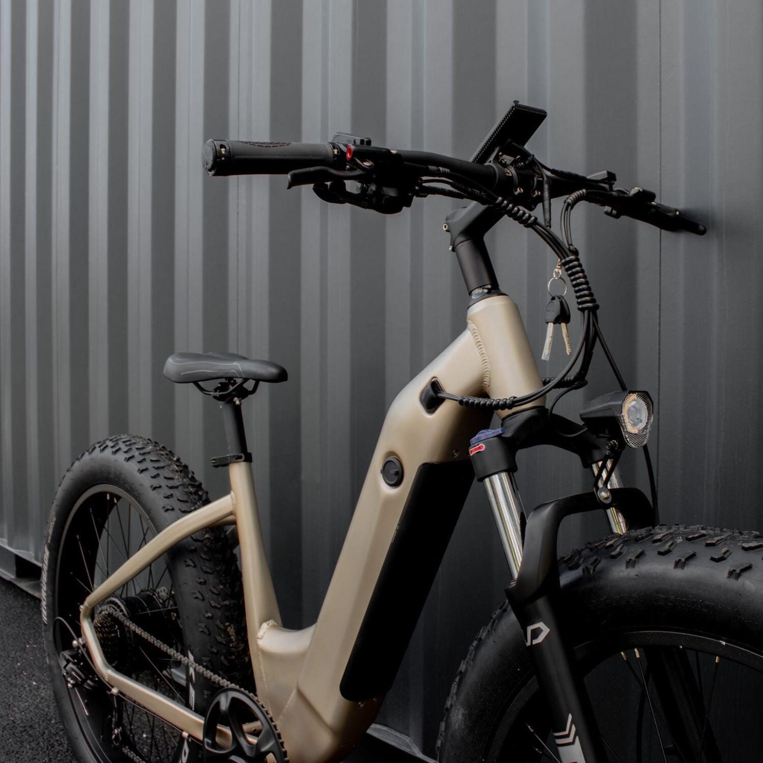MTB met lage instap All Road Bike 250 W – Goud 4/6