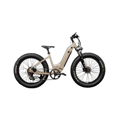 Mtb met lage instap all road bike 250 w – goud