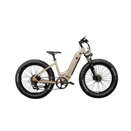 MTB met lage instap All Road Bike 250 W – Goud