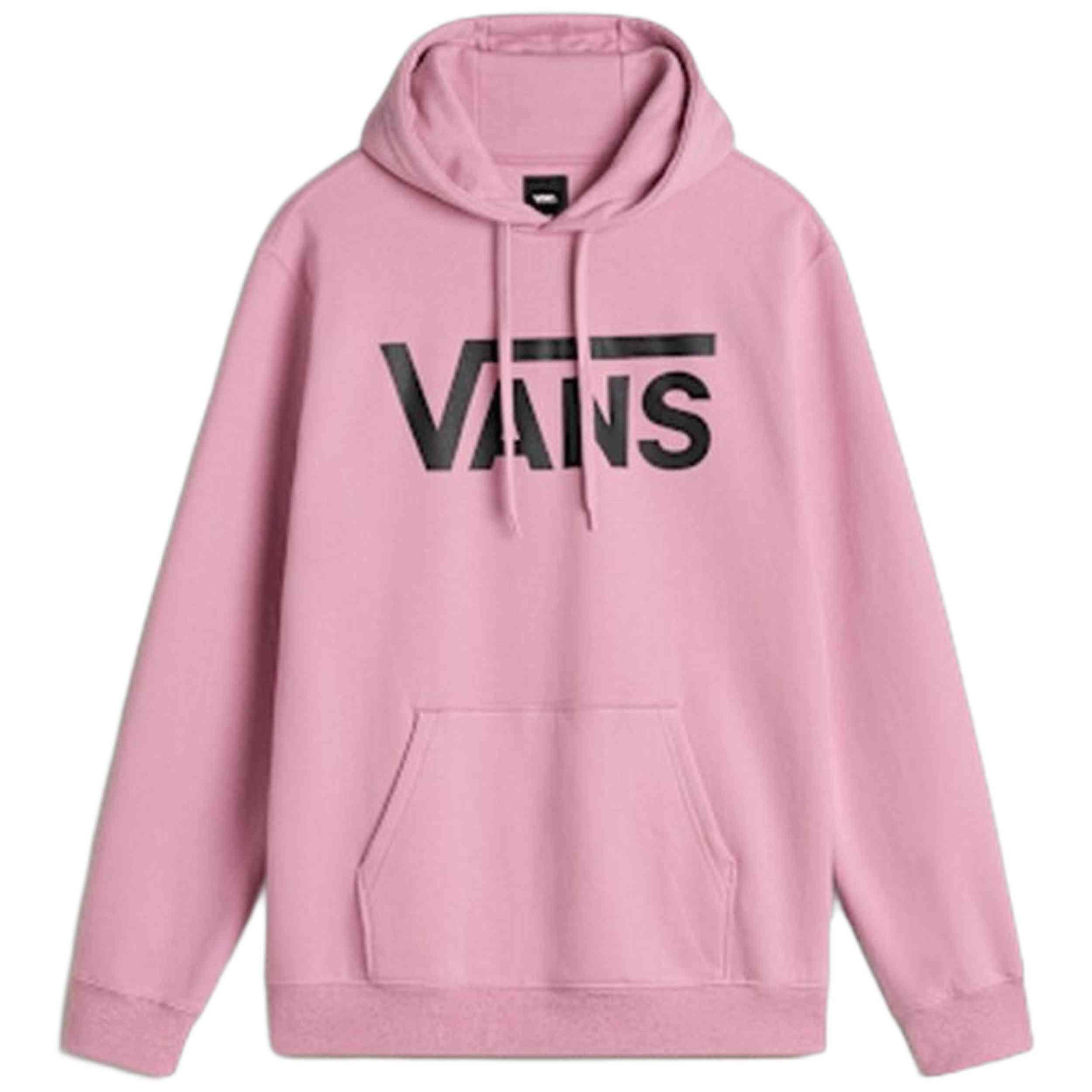 VANS picture