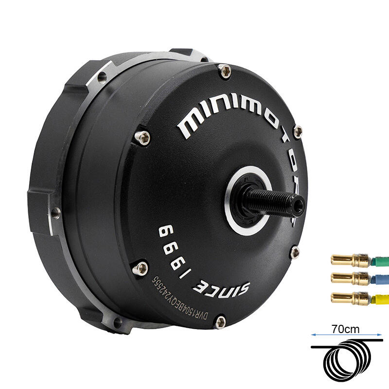 MINIMOTORS picture