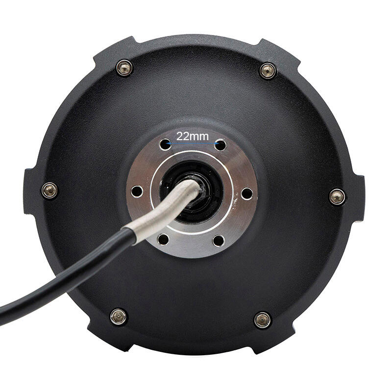 Motor 60V 2000W para Dualton Victor/Victor Luxury (trasero) [Minimotors] 3/5