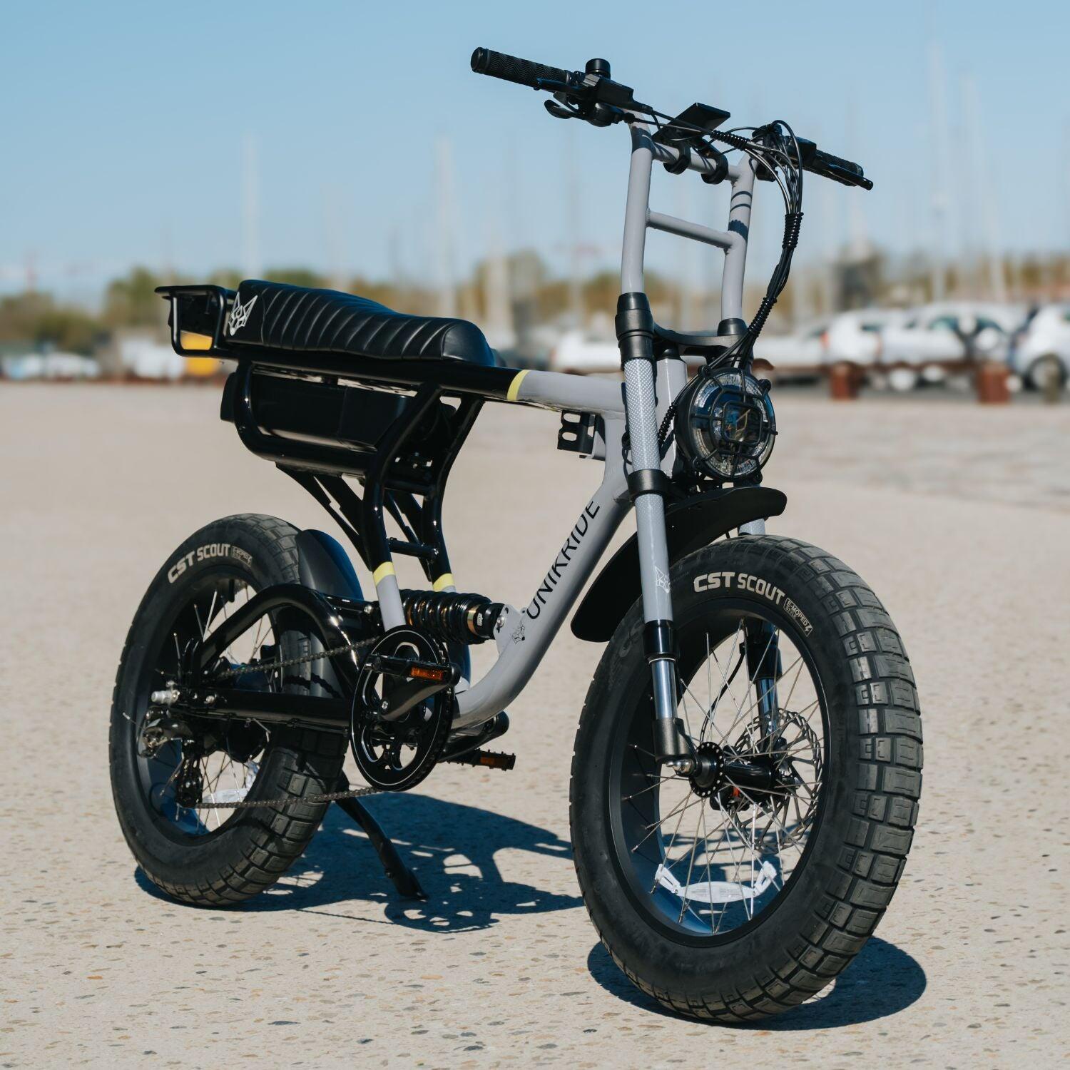 Elektrische tweepersoons fatbike-cargofiets Fatstreet Xtrail 2/7