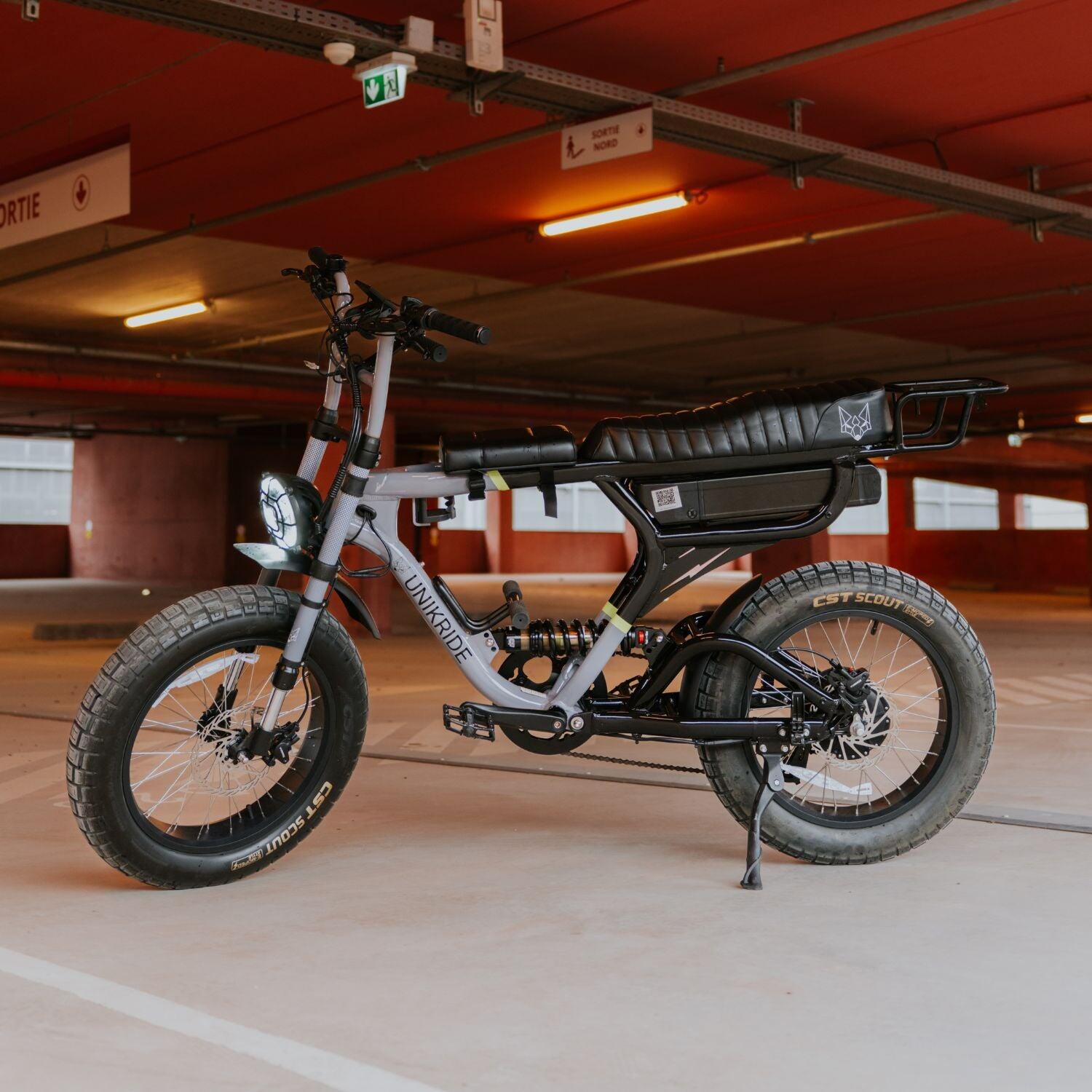 Elektrische tweepersoons fatbike-cargofiets Fatstreet Xtrail 7/7