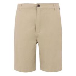 Bermuda Regatta Sabastal