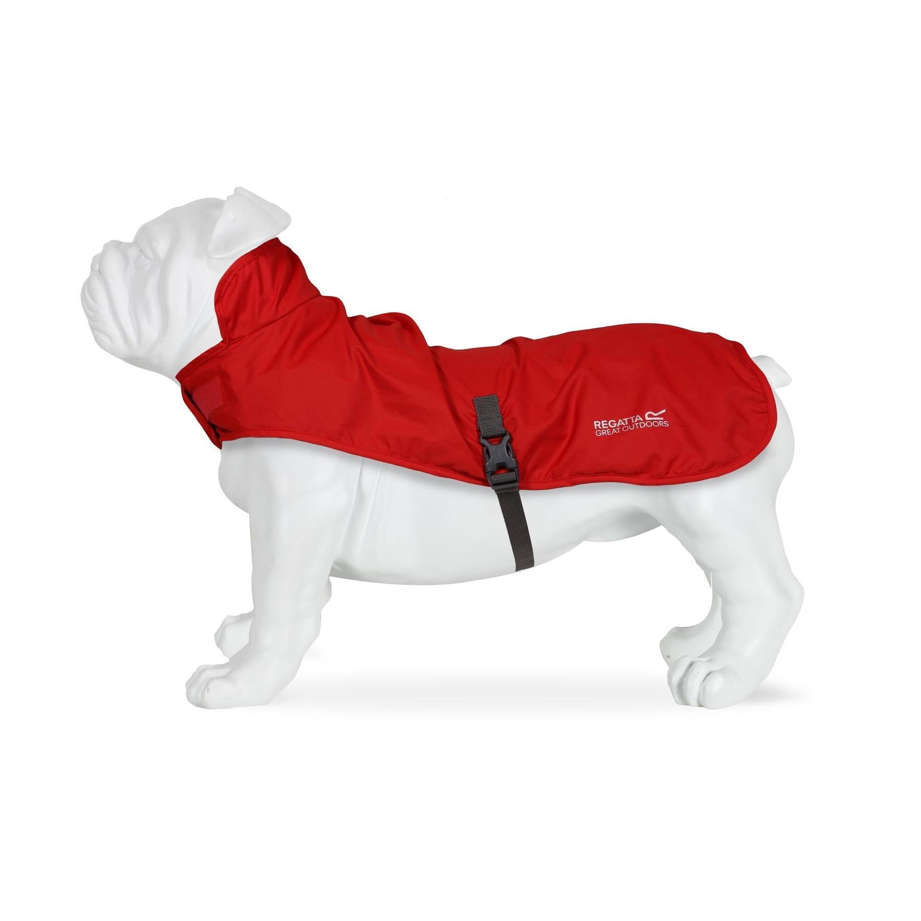 Hundemantel Regatta Packaway 2/2