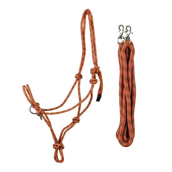 Ensemble licol et longe éthologique pour cheval de Compétition Horka