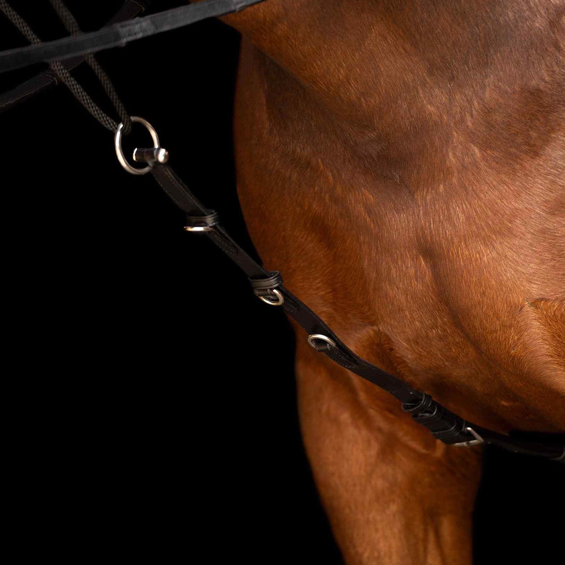 Redini per cavalli con cordino Imperial Riding Core 5/5