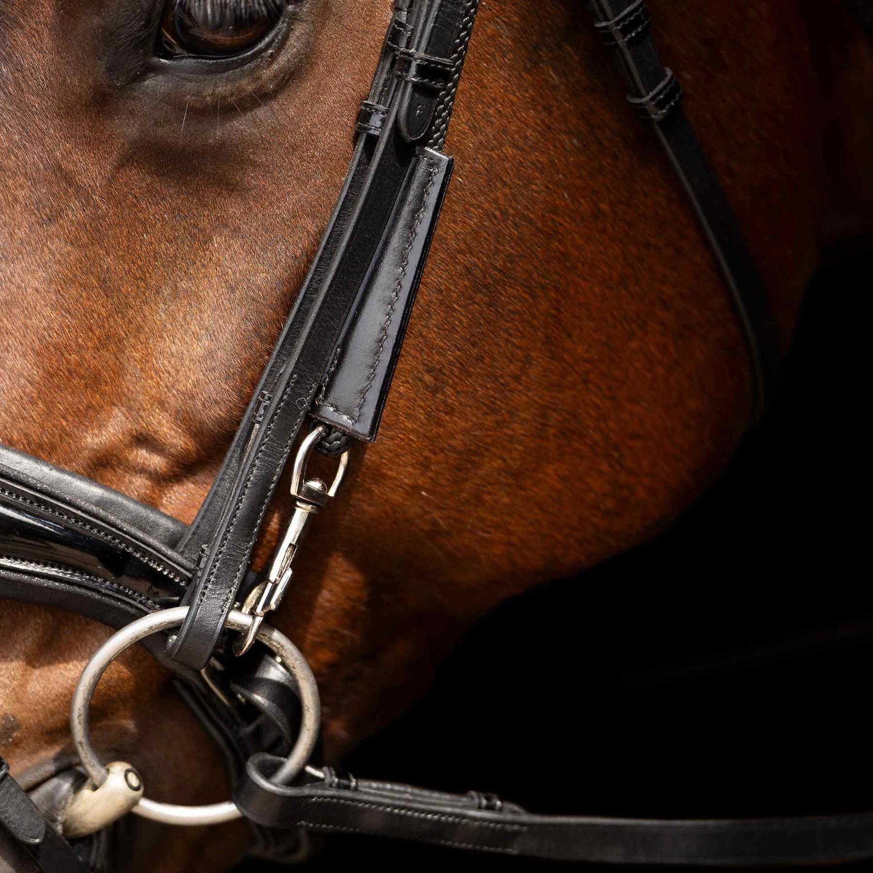 Redini per cavalli con cordino Imperial Riding Core 4/5