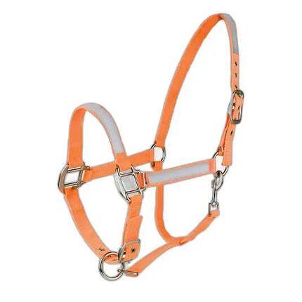 Licol pour cheval Horze