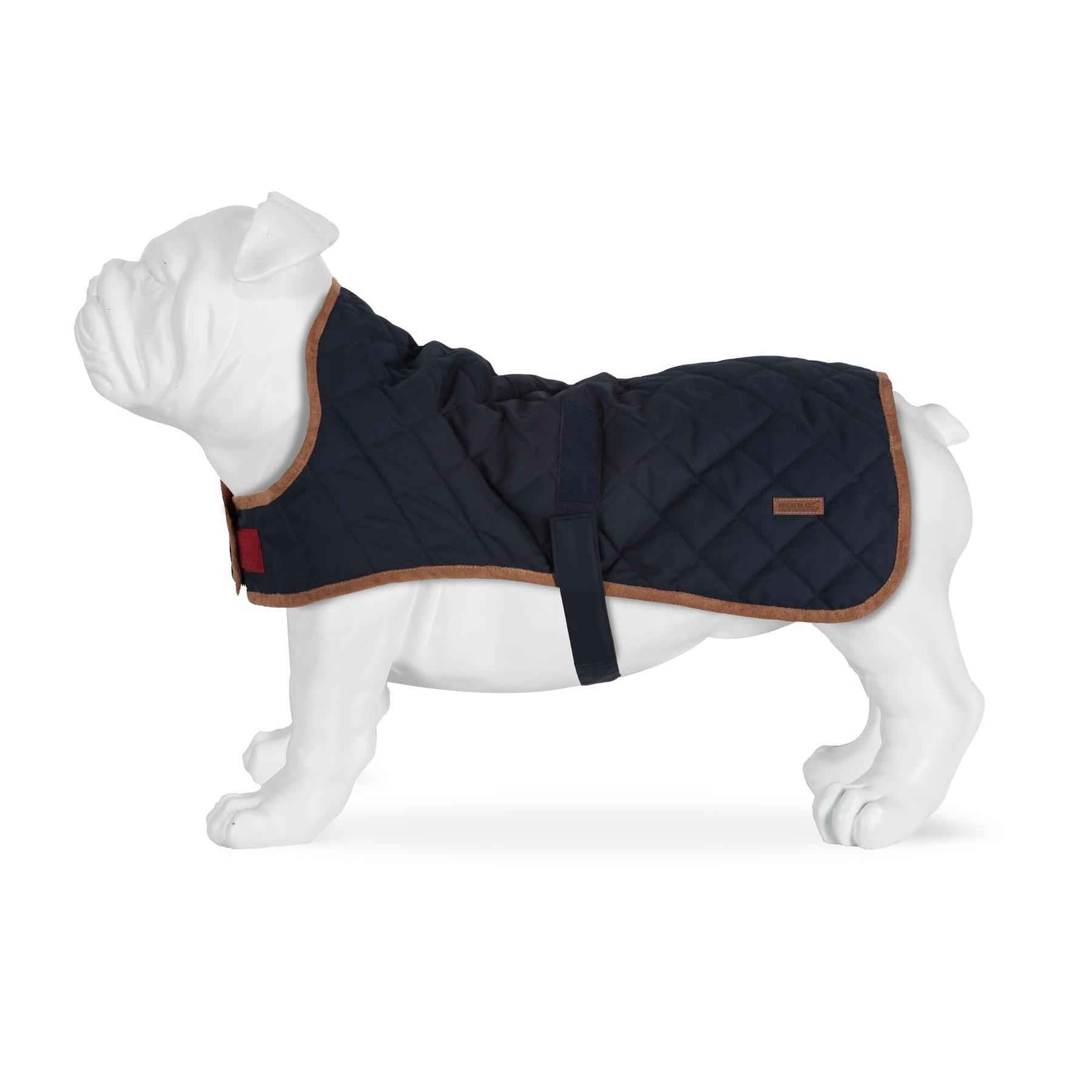 Hundemantel Regatta Odie 2/2