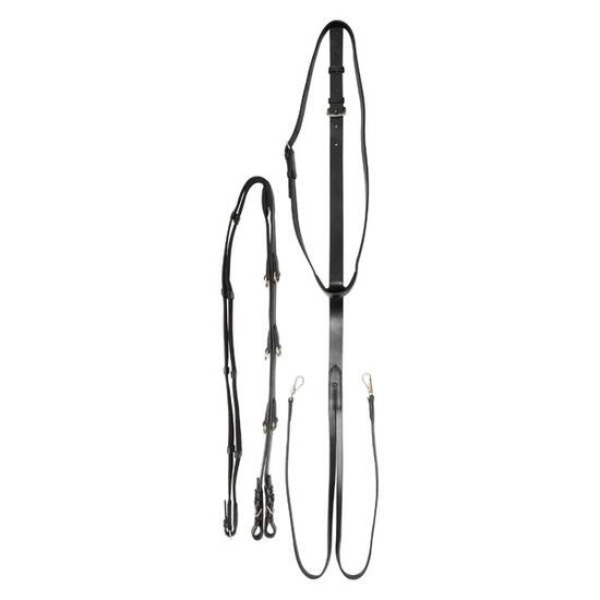 Enrênement élastique pour cheval Imperial Riding Thiedemann Core