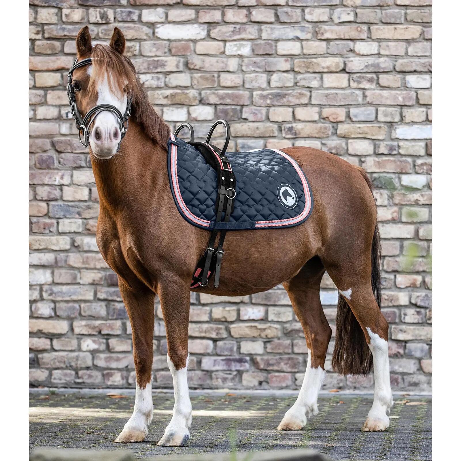 Zadel voor paard met twee handvatten Waldhausen 3/3