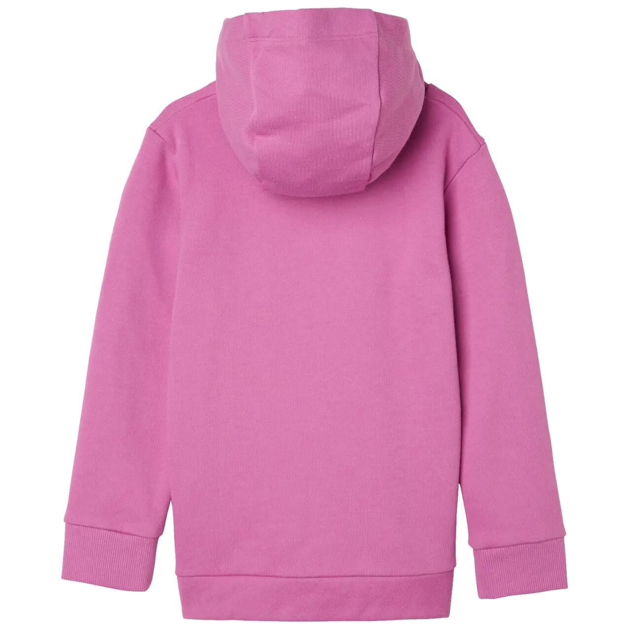 Sweatshirt à capuche enfant Helly Hansen Graphic 2/2
