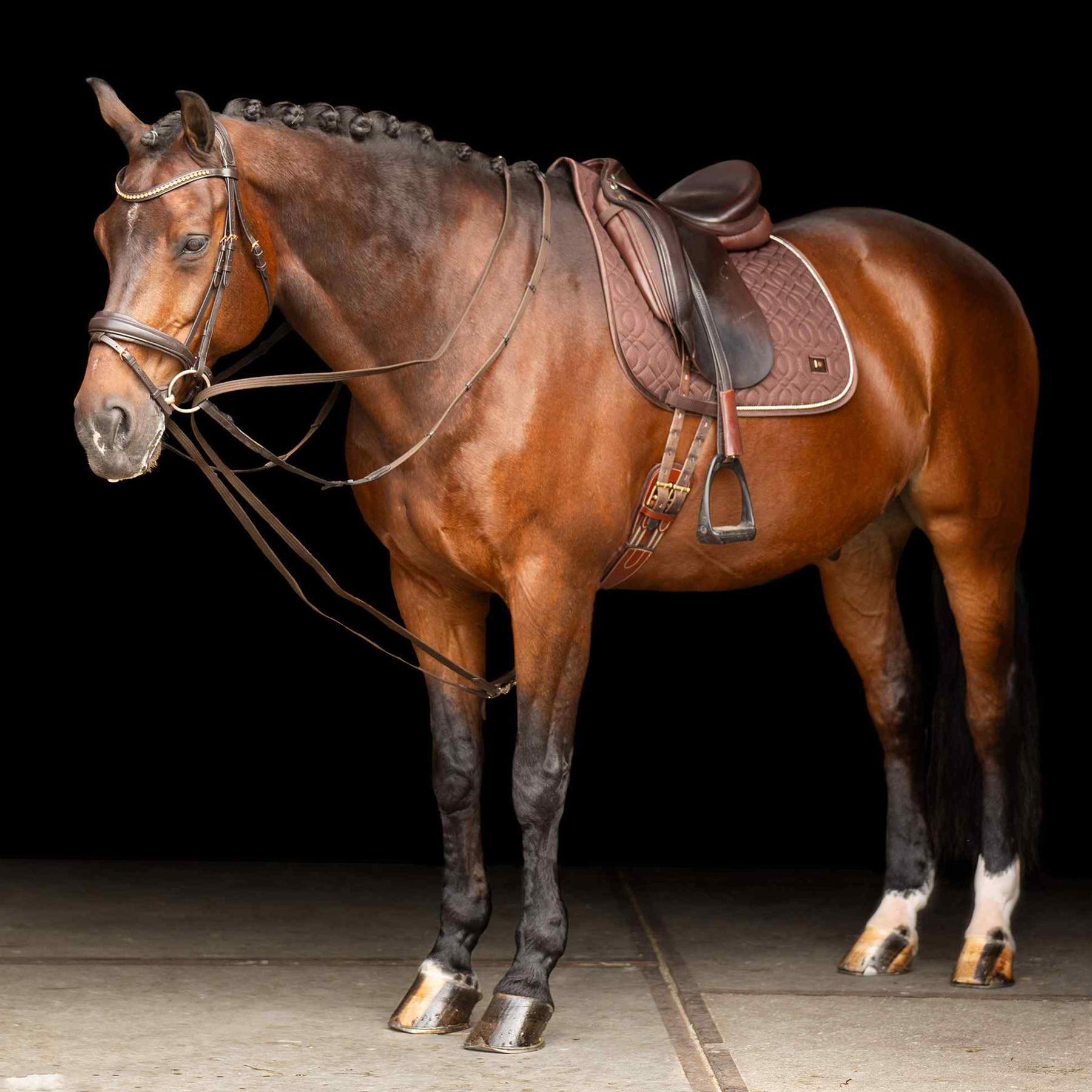 Rêne allemande Imperial Riding SH Core 3/3