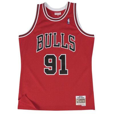 Nba-shirt chicago bulls dennis rodman
