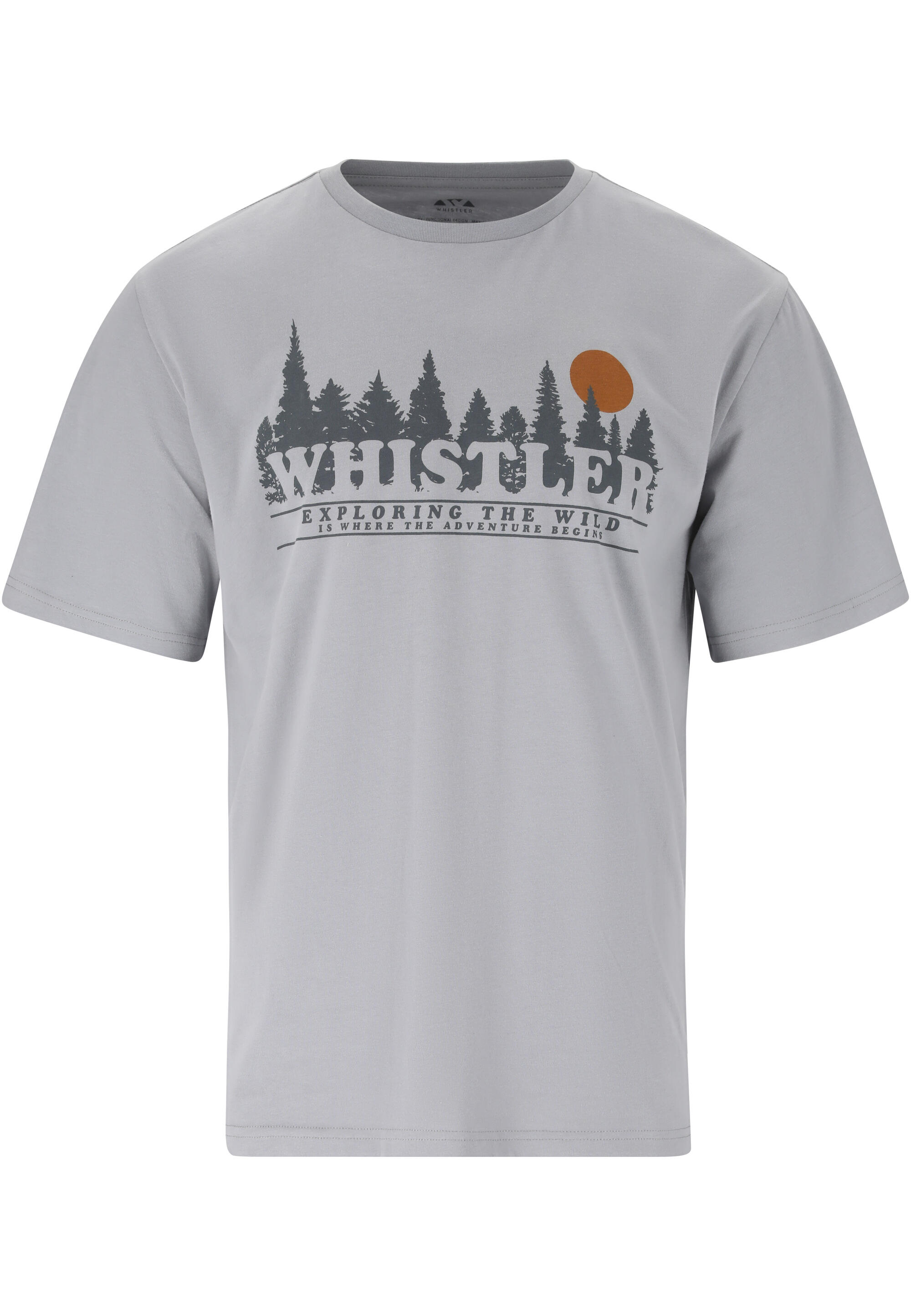 WHISTLER picture
