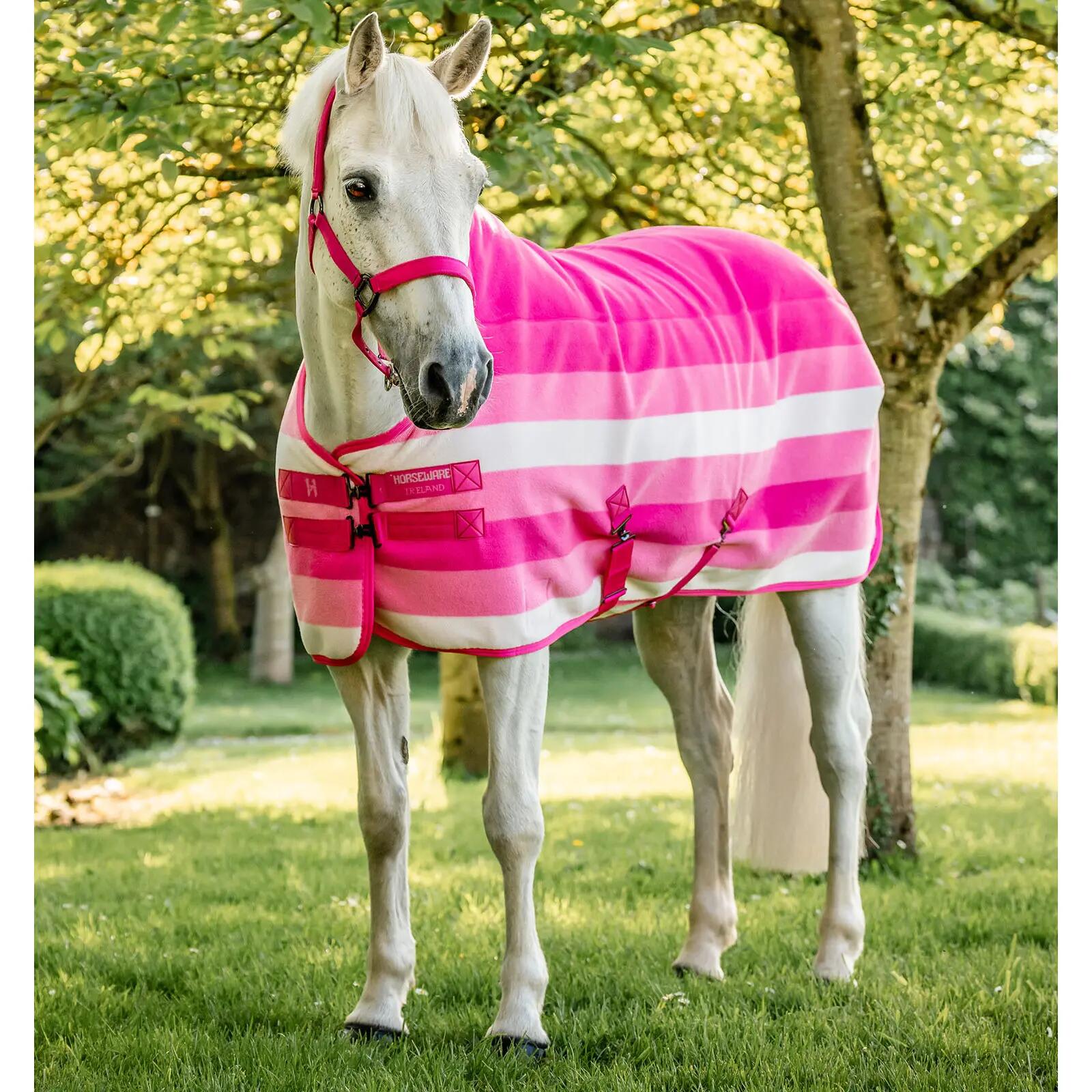 HORSEWARE IRELAND picture