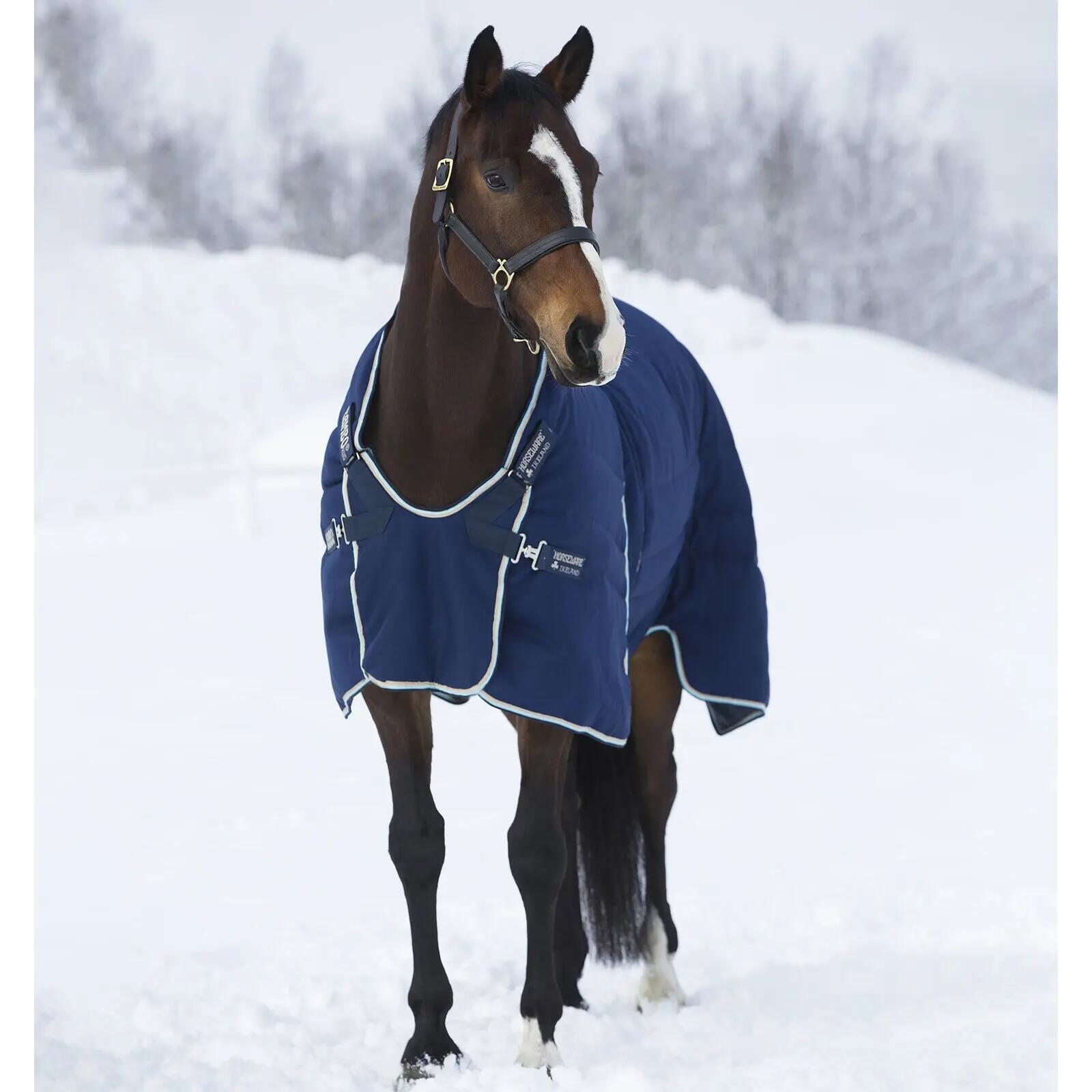 HORSEWARE IRELAND picture