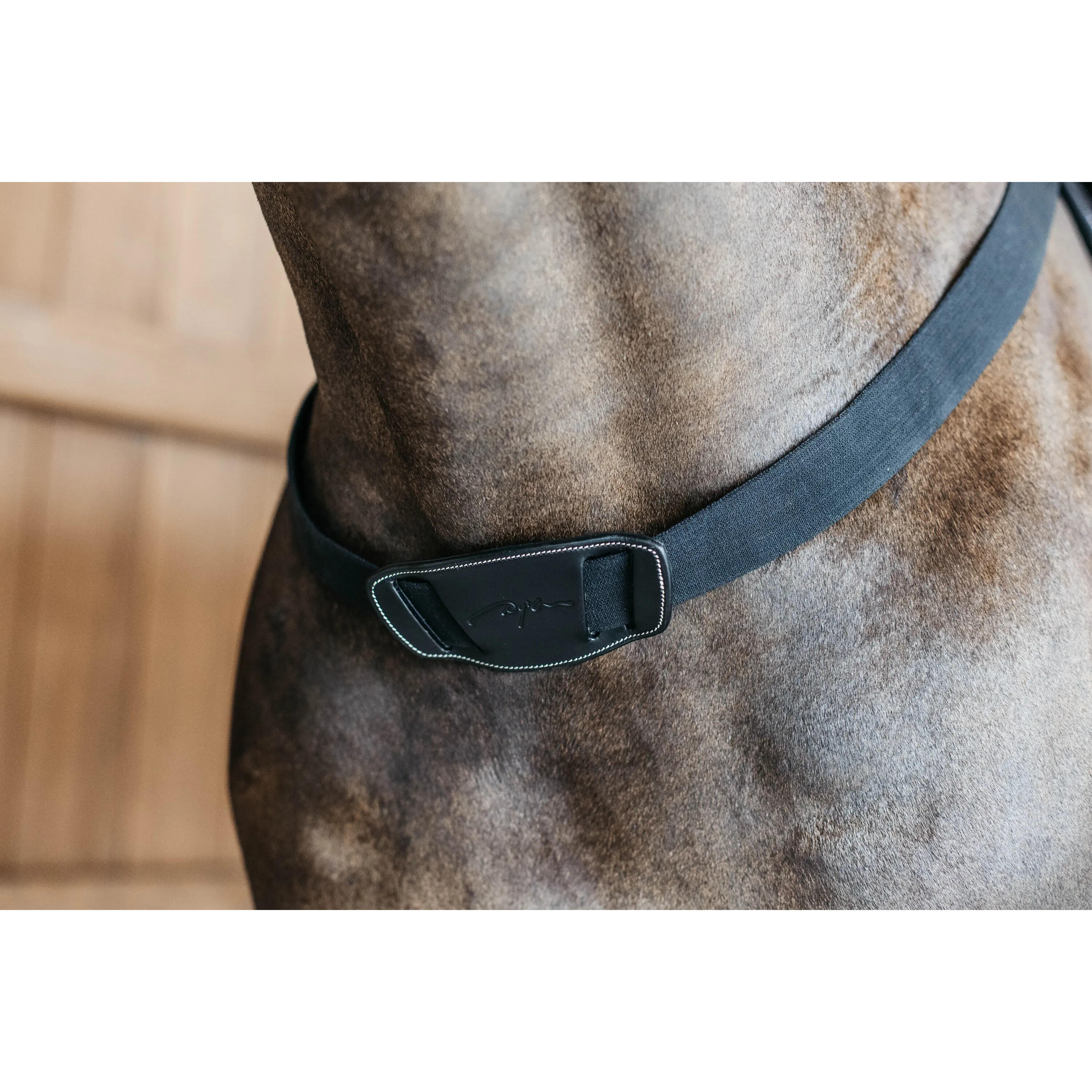 Plastron élastique Dy'on 3/3