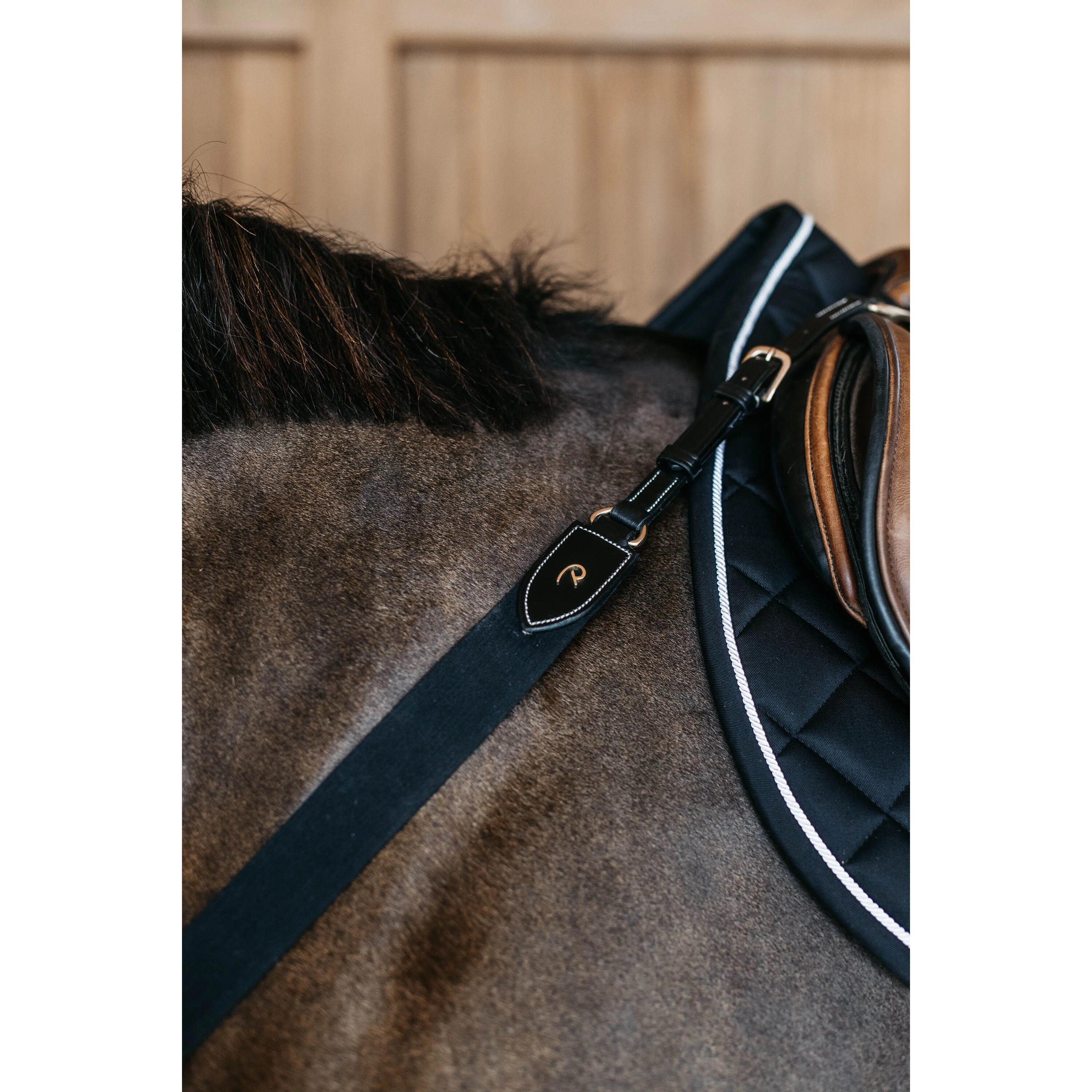 Plastron élastique Dy'on 2/3
