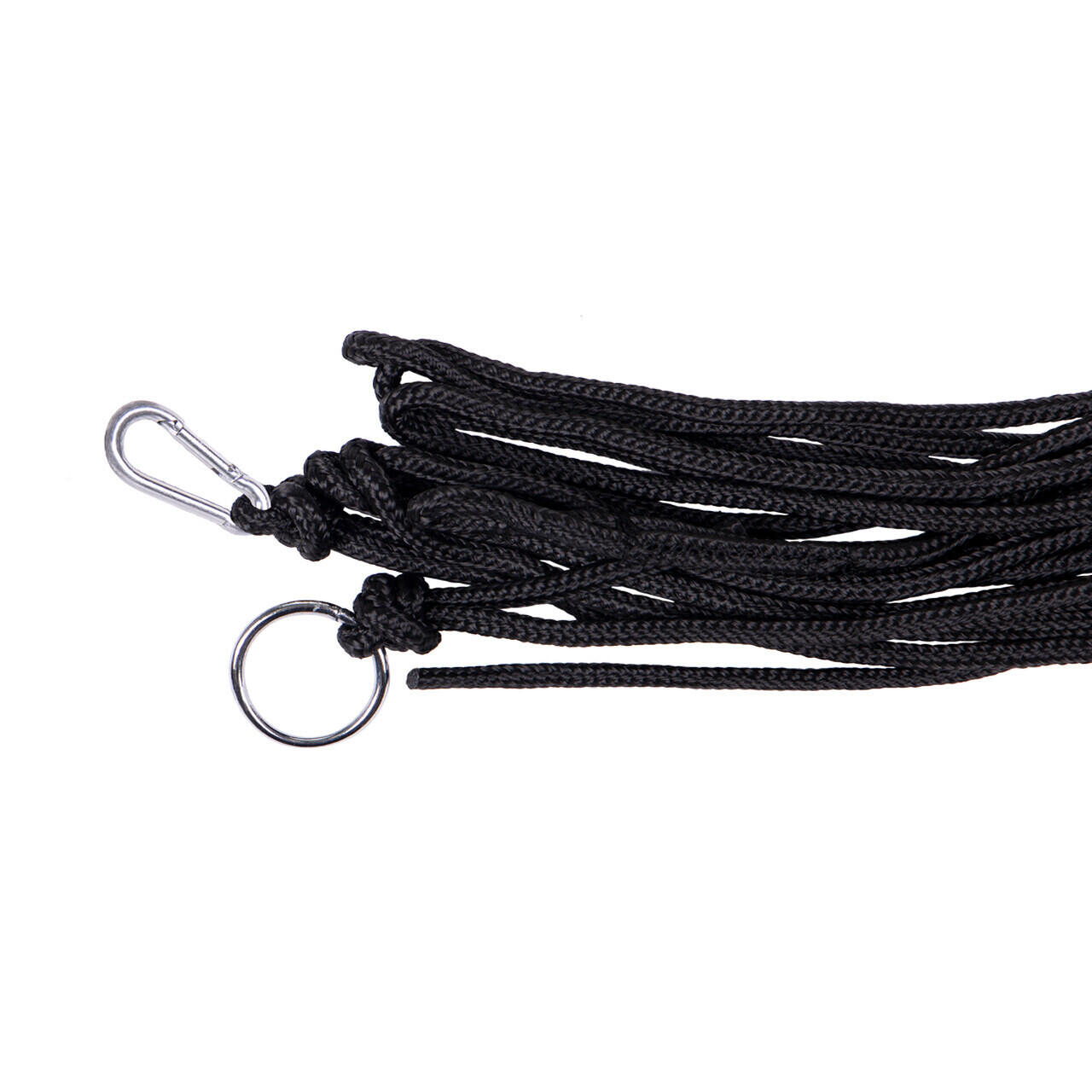 Licol pour cheval de photographie QHP 2/2