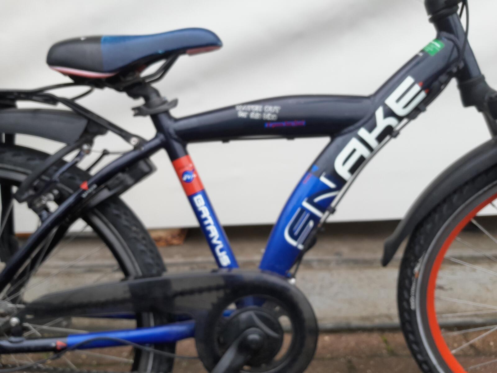 Batavus Snake 2/5