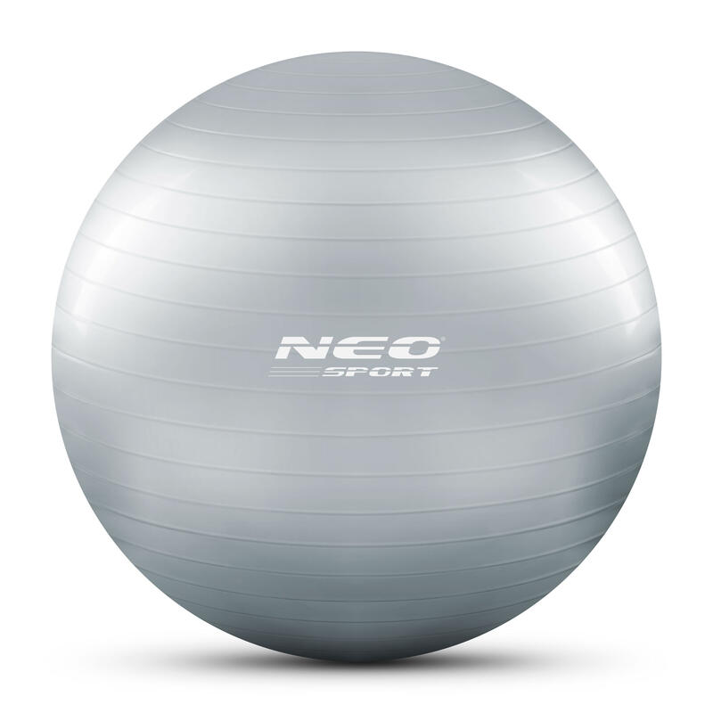 Bola de aeróbica fitness 65cm NS-951 prateada.