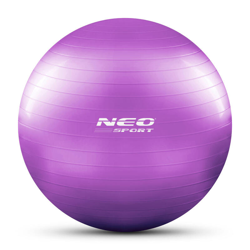 Bola de aeróbica fitness 65cm NS-951 roxa.