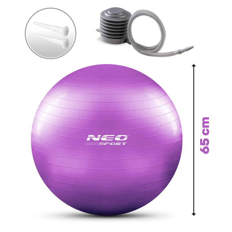 Bola de aeróbica fitness 65cm NS-951 roxa.