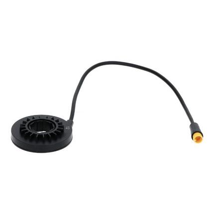 Capteur de cadence Motinova 250 mm